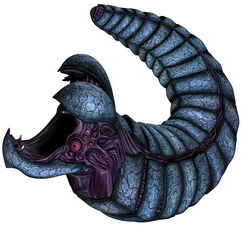 Rishi eel