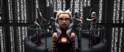 Ahsoka Trial