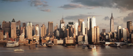 The Division NYC