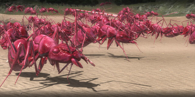 File:Crimson 1.jpg