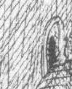 Gatesofhumility