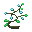 Blue jungle berries