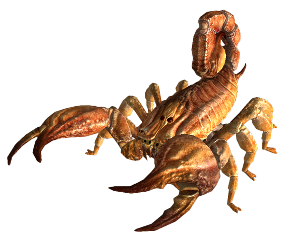 File:Bark scorpion FNV.png