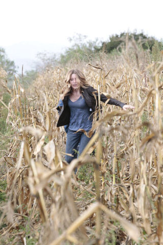 File:1.09-LeilaField2.jpg
