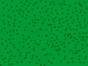 FFR