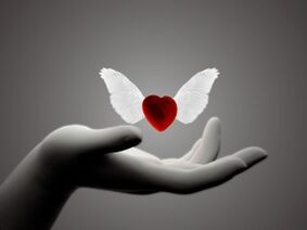 Wings-heart