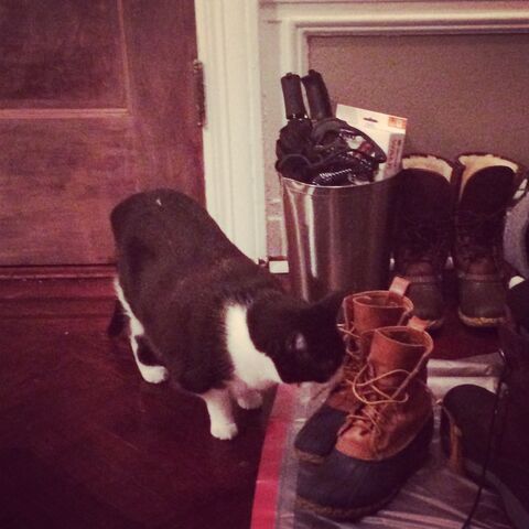 File:Lulu Boots.jpg