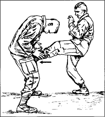 File:Groin kick.png
