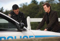 Thumbnail for version as of 19:19, February 23, 2013