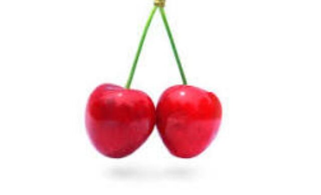 File:Cherries-0.jpg
