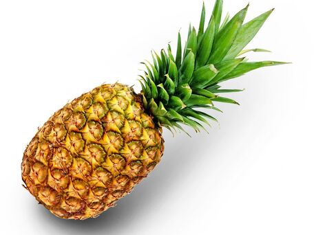 PINEAPPLE