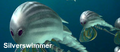 Thumbnail for version as of 14:56, September 11, 2011