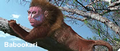 Thumbnail for version as of 14:49, September 11, 2011