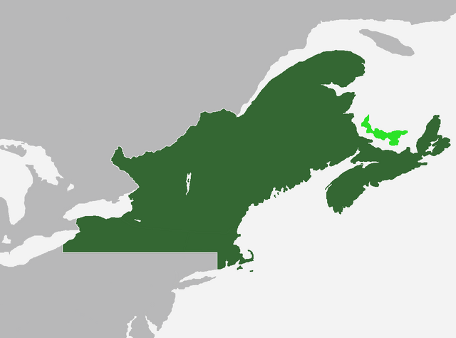 Fichier:MonteregisMap.png