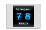 Age prediction