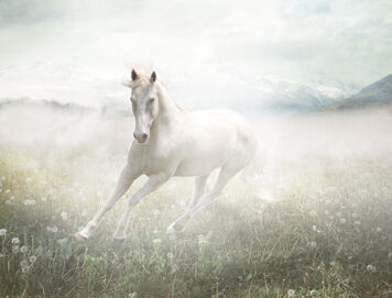 Shadowfax