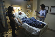 Callie Jim Hospital