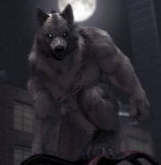 Lycan Eyeshine