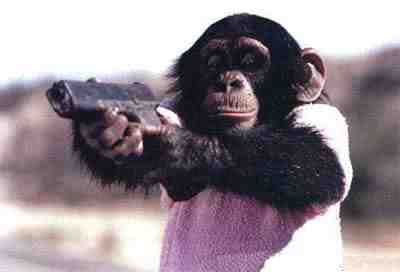 File:Monkey with a gun.jpg