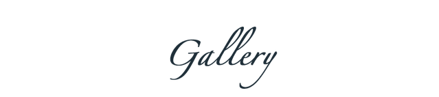 File:Gallery.png