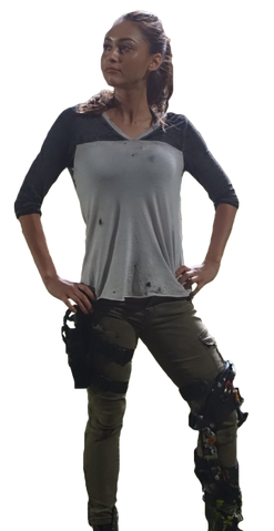 File:RavenPng.png
