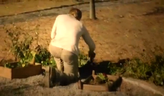 Peeta Mellark plantando prímulas.png