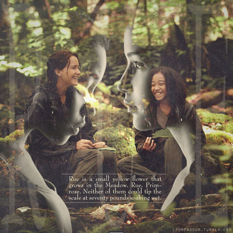 File:Tumblr m1yv8kaeGw1qgaqrlo1 500 large.jpg