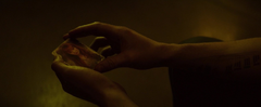 Finnick sosteniendo una foto de Annie.png