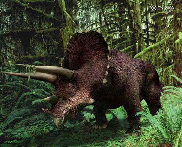 File:Triceratops1.jpg