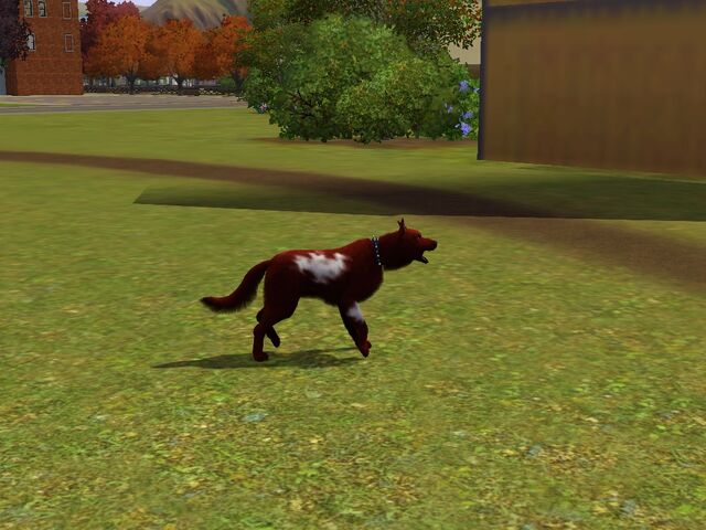 File:Screenshot-61.jpg