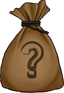 File:MysteryBag.png