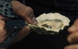 Peeta-oyster