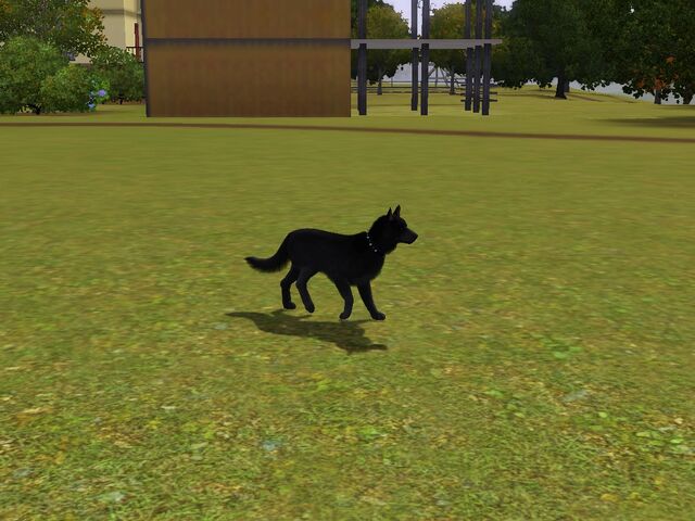 File:Screenshot-55.jpg