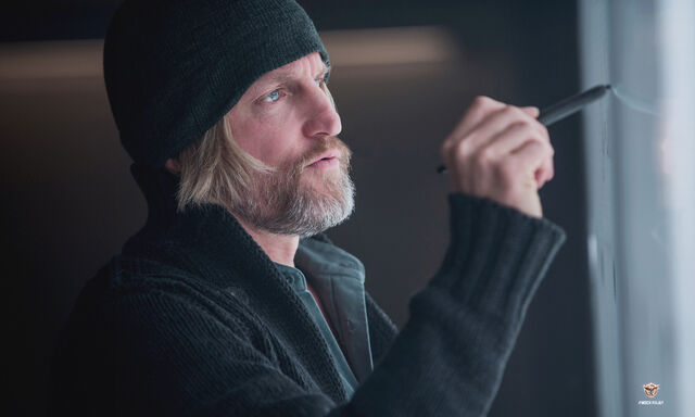 File:Haymitch Mockingjay.jpg