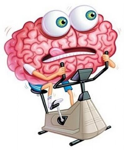 File:Brain.jpg