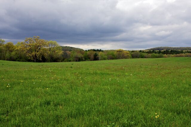 File:Farm-field-2592x3888.jpg