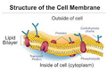 Thumbnail for version as of 01:28, May 20, 2014