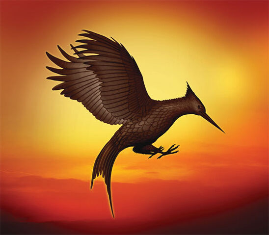 File:Red mockingjay.jpg