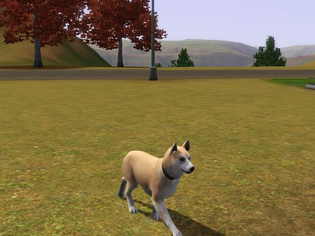File:Screenshot-67.jpg