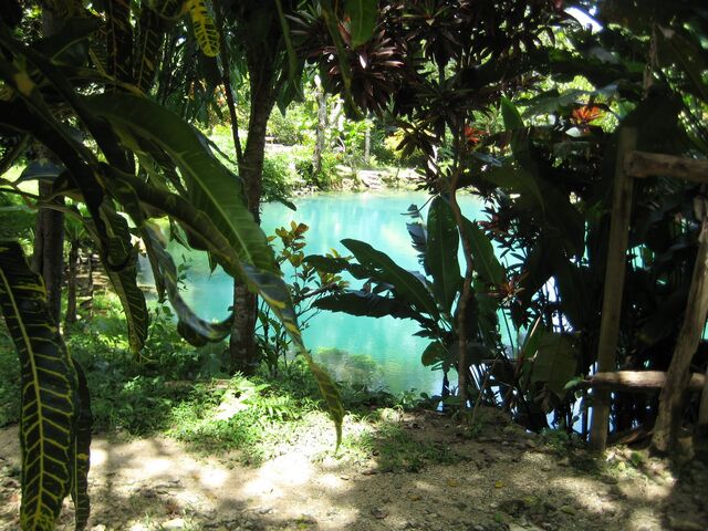 File:IMG 2421.jpg