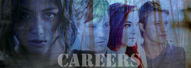 File:Careers.png