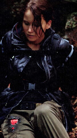 File:Katniss burn.jpg