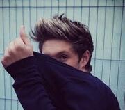 Niall 3