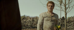 Peeta hablando con Katniss.jpg