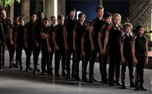 Tributes of 74th hungergames.jpg