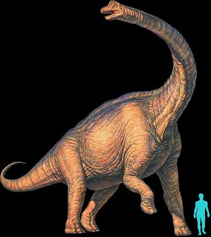 File:Brachiosaurus.jpg