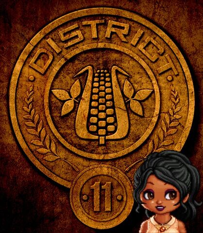 File:Amber district 11.jpg