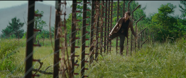 File:Hunger-games-electric-fence.jpg