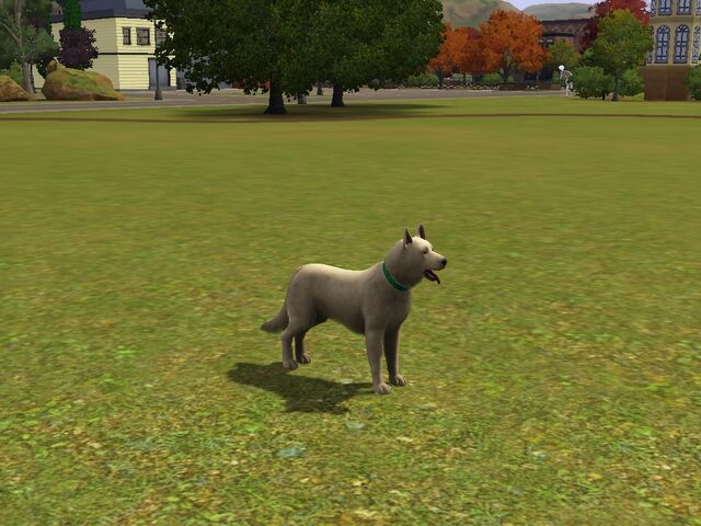 File:Screenshot-57.jpg