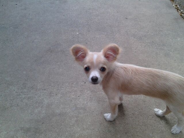 File:IMG 20120612 133146.jpg